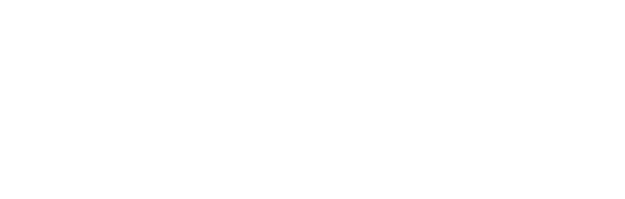 Logo Effleurs, Artisan fleuriste écoresponsable à Metz, en Lorraine