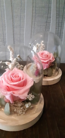 composition florale rose eternelle cloche fleuriste lorraine effleurs