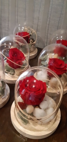 composition florale rose éternelle rouge sous cloche fleuriste semécourt effleurs