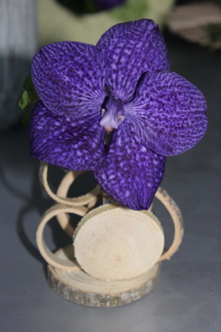 composition florale simple bois orchidee vanda fleuriste metz effleurs