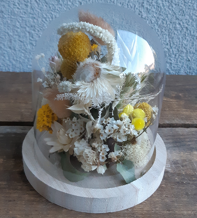 Cloche bois fleurs séchées- Effleurs