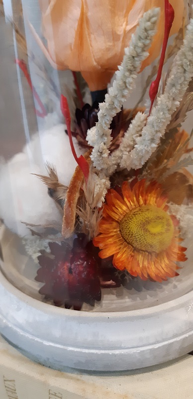 Cloche fleurs séchées romantique zoom - Effleurs