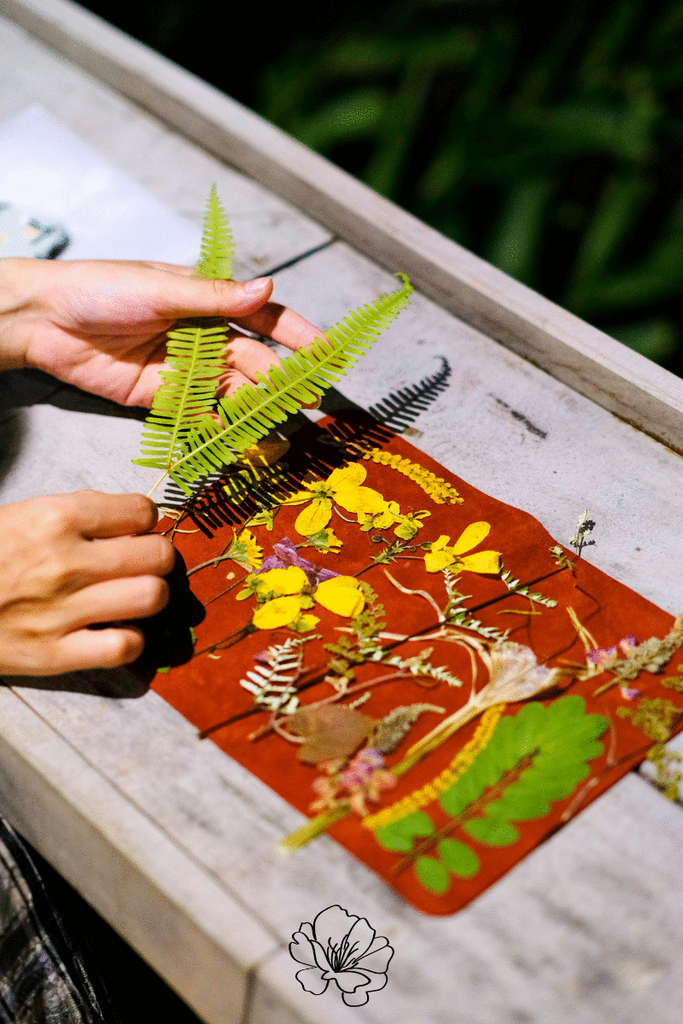 Fleurs et plantes pour créations florales, herbier, Effleurs
