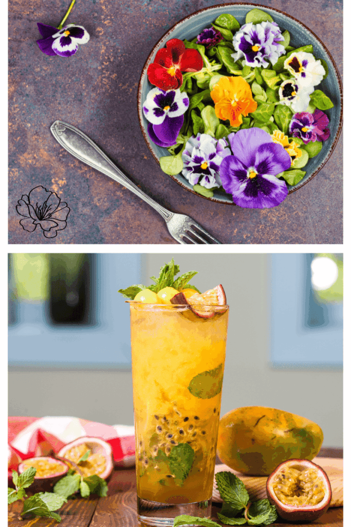 Salade contenant des fleurs, boissons à base de plantes, Effleurs